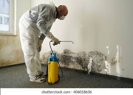 Akron, IA Mold Inspection Company